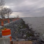 The seawall of Governors Island can be seen stretching to the horizon near craggy trees and the sea and surrounded by orange construction cones.
