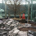 As part of the Pier D expansion, a tree rests within glass walls surrounded by grassy stones.