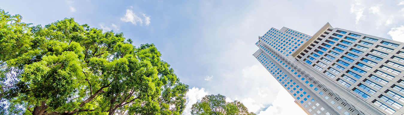Corporate Sustainability